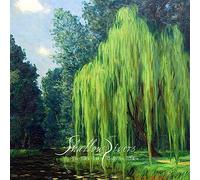Shallow Rivers - The Tales Told Under the Willow