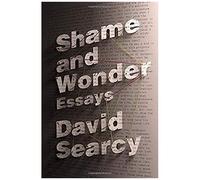 Shame And Wonder