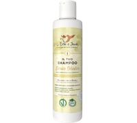 Shampoing à l'Immortelle Semplice Macchia - 150 ml