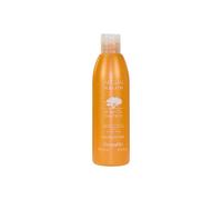 Shampoing Argan Oil Brillance (250ml) - Farmavita