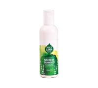 Shampoing Ayurvédique 200ml Aux Huiles Essentielles - Holy Lama
