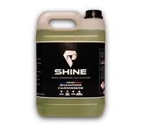Shampoing Carrosserie (Conditionnement: 5L)