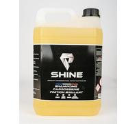 Shampoing Carrosserie Finition Brillante, Peu Moussant, pour Canon à Mousse et Lavage Manuel, Agent Déperlant, 5L
