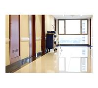 Shampoing cirant métallisant - 1 L