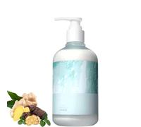 Shampoing Lanshu, Shampoing Régulateur de Sébum Lanshu Polygonum Multiflorum, 400 ml pour Hommes et Femmes, Équilibre du Cuir Chevelu et Protection des Cheveux (1pc)