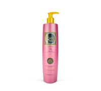Shampoing Renforçateur 500ml Keragold G