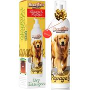 Shampoing Sec Chien Sans Rincage Anti Odeur 500 ml Grand Format Shampooing Mousse Lavage Séchage Rapide Ingrédients Naturels Hypoallergénique Peau Sensible Antiparasitaire Dermatite Déodorant (Mangue)