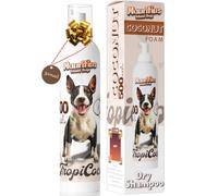 Shampoing Sec Chien sans Rincage Anti Odeur 500 ML Grand Format Shampooing Mousse Lavage Séchage Rapide Ingrédients Naturels Hypoallergénique Peau Sensible Antiparasitaire Dermatite Déodorant (Coco)