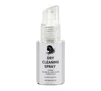 Shampoing sec pour cheveux, 60 ml, produits de soin du cuir chevelu compact, absorbe l'huile sèche, aperçu du shampooing sec, rendez-vous galant, voyage d'affaires, mariage, vacances, plage, camping
