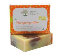 Shampoing Solide Nature