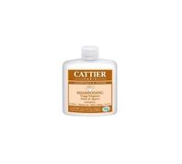 Shampoing Soluté De Yogourt Bio De Cattier (Flacon : 250)