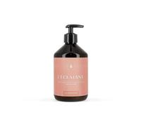 Shampoing Terre d'Eden Terre d'Eden 500ml Beautélive