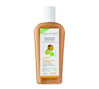 Shampoing Traitant Bio Cheveux Secs & Rêches Sans Sulfate (250 ml) - Dermaclay - Shampoings
