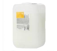 Shampoo Capelli Secchi Idratante FANOLA Shampoo Ristrutturante 10 Litres
