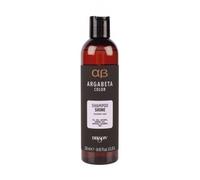Shampoo Cheveux Colorés Dikson Argabeta Color Shine 250ml