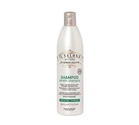 Shampoo Cheveux Endommagé ALFAPARF MILANO Le Salon Keratin 500ml