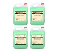 Shampooing à l'eucalyptus 4 x 5 l - Shampooing naturel au pH neutre avec parfum d'eucalyptus rafraîchissant - Nettoyage et soin doux pour tous les types de cheveux - Grand paquet pour distributeur et