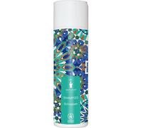 Shampooing antipelliculaire n° 105, 200 ml