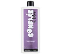 Shampooing Cheveux Fins Gonflée A Bloc 1l - Ducastel