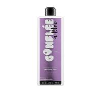 Shampooing cheveux fins Gonflée A Bloc 500ML - Ducastel