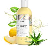 Shampooing Définissant Les Boucles Avec Extraits De Citrus Et Astragale - Conçu Pour Les Cheveux Bouclés Pour Nourrir Et Définir Chaque Boucle Avec Un Mélange De Botaniques Nutritifs[Z2754]