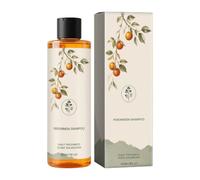 Shampooing Naturel Réparateur 120ml, Pour Cheveux Secs Et Abîmés