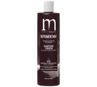Shampooing Neutralisant Cendreur Patrice Mulato 500ml
