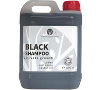 Shampooing Noir Anti-Chute et Croissance Rapide Huile d'Oignon et Caféine Antipelliculaire et Hydratant Sans Sulfate 2000 ml