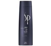 Shampooing Pour Cheveux Gris Silver Sp Men 250ml