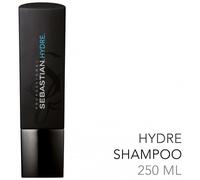 Shampooing Pour Cheveux Secs Hydre Sebastian 250ml