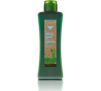 Shampooing Pour Cuir Chevelu Sensible - Biokera Natura Shampooing Miel Scalp Care - 300 Ml - Nettoie Le Cuir Chevelu Du Sébum Et Des Pellicules - Purifie Les Cheveux - Prévient Et Combat Les