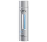 Shampooing purifiant Scalp Purifier Kadus 250ML