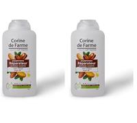 Shampooing Réparateur à l'Huile d'Argan (Lot de 2)