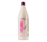Salerm Cosmetics Shampooing 197