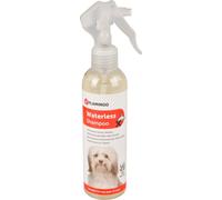 Shampooing sec pour chien 200 ml