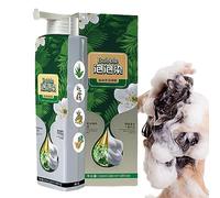 Shampooing Teinture Instantanée Pour Cheveux Noirs,Ingrédients Naturels Végétaux Cheveux Noirs Bio,Teinture Pour Cheveux À Bulles 100 Couverture Couleur Shampooing Unisexe 200ml