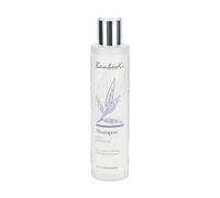 Shampooing Violet Déjaunisseur Professionnel Bambookì pour Cheveux Blonds et Gris, Neutralisation des Reflets Jaunes et Orangés, Avec Huile de Coco Bambou Kératine, Sans SLS ni Parabènes, 200 ml