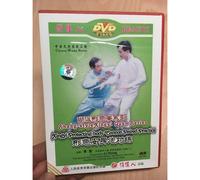 Shang-Style Xingyi Quan Series: Protecting Body Paired Practice Dvd - Li Hong