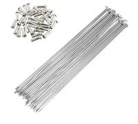 SHANGCHESO 40 pièces pour rayons de vélo 20/22/24/26/28, 40 pièces 231-270 mm 14G 2,0 mm de diamètre en acier inoxydable argenté avec pliables (251 mm)