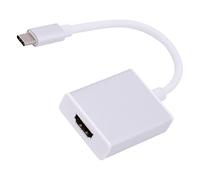 Shanrya Adaptateur de Type C vers HD, Adaptateur d'interface Multimédia de Type C vers HD inséré des Deux Côtés pour l'enseignement (Argent)