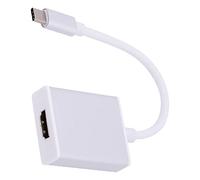 Shanrya Adaptateur d'interface Multimédia de Type C vers HD, Adaptateur de Type C vers HD 10 Go inséré des Deux Côtés pour Le Bureau (Argent)
