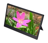 Shanrya Moniteur d'ordinateur Portable 13,3 Pouces, Moniteur d'ordinateur Portable IPS de Type C 1440P pour Office pour PS4 (Prise UE)