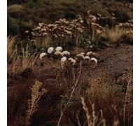 Shaolin Afronauts - Shaolin Afronauts: The Fundamental Nature Of Being. Part Two [CD]