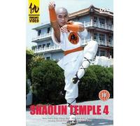 Shaolin Temple 4