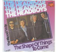 SHAPE OF THINGS TO COME 7" (45) GERMAN RSO 1979 B/W MOOD I'M IN (2090386) PIC SLEEVE