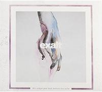 Shape You Took Before The Ache [Import]