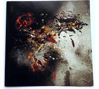 Shapeshifter - Reticulum Flux [Import]