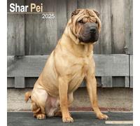 Shar Pei Calendar 2025 Square Dog Breed Wall Calendar - 16 Month NEUF