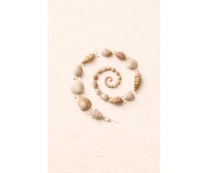 SHARED MOMENTS: SHELLS: A memory book, living keepsake activity, and grief support gift for children, teens, and families who are grieving a loved one.