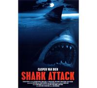 Shark Attack
